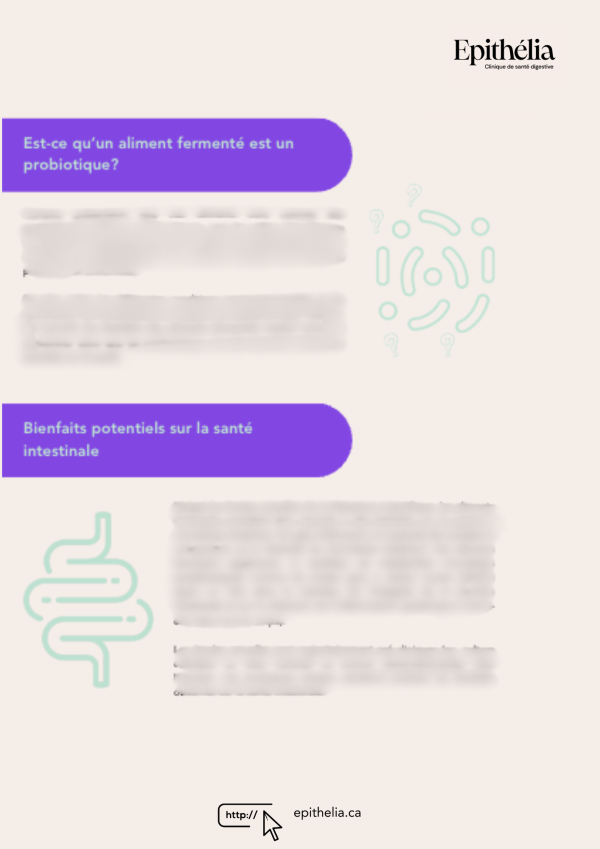 L’ABC des aliments fermentés – Image 3
