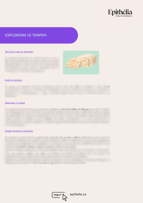 L’ABC des aliments fermentés – Image 4