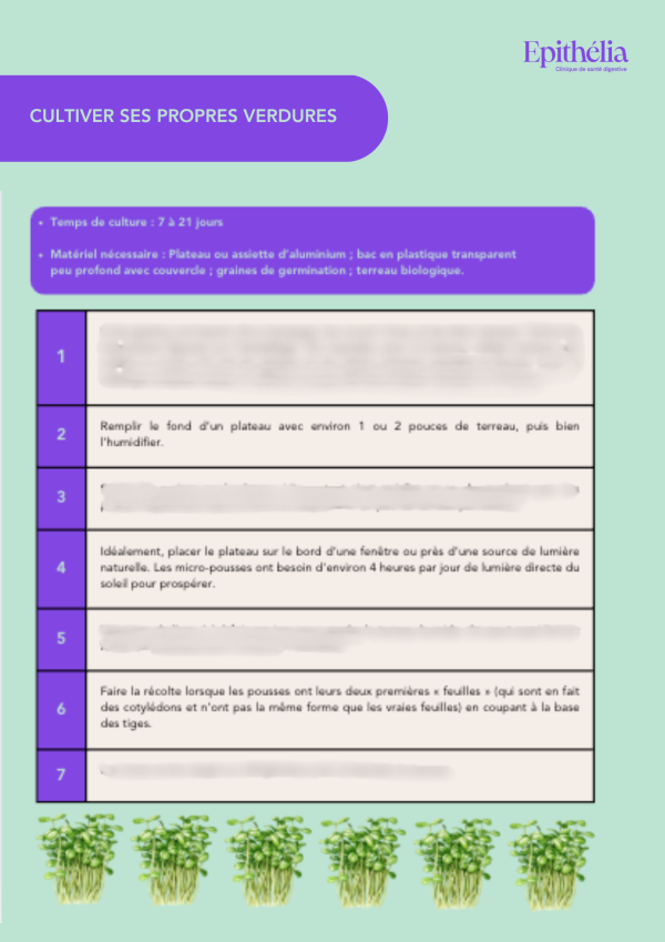 Guide estival pour un été réussi ! – Image 4