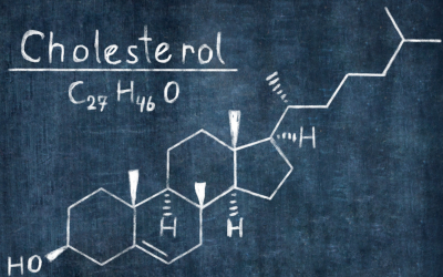 Microbiote intestinal, probiotiques et cholestérol !
